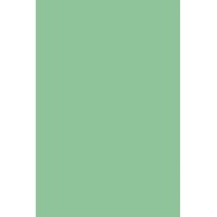 Бумага цветная 10л,  А4, тониров. ПЭТ Зеленый С3036-04 Апплика 