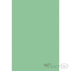 Бумага цветная 10л,  А4, тониров. ПЭТ Зеленый С3036-04 Апплика 