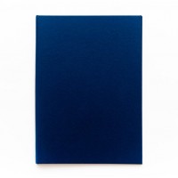 Папка для дипломных работ БЕЗ НАДПИСИ синие (без бумаги) 10ДР00 (10ДР00с) Канцбург 