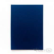 Папка для дипломных работ БЕЗ НАДПИСИ синие (без бумаги) 10ДР00 (10ДР00с) Канцбург 