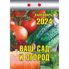 Календарь отрывной 2024, 