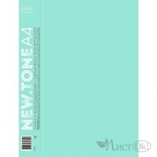 Папка 40 файлов А4 NEWtone PASTEL Мята 600 мкм 21мм 40AV4_05039 Hatber 