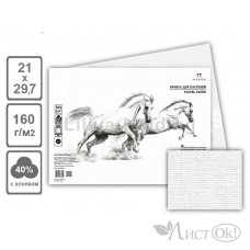 Бумага для пастели А4 1л Палаццо Snow белоснежный 160г (цена за 1л) БР-6587 