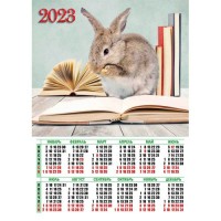 Календарь плакат А2 2023 Символ года 7554 Квадра 