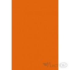 Бумага цветная А4, 10л, 1цв. тонированная ПЭТ Оранжевый С3036-09 Апплика 