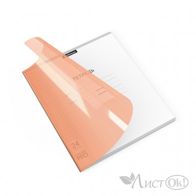 Тетрадь 24 л. клетка А5+ Классика CoverPrо Neon, оранжевый, с пластиковой обложкой 56381 ERICH KRAUSE 