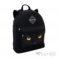 Рюкзак молодёжный 17L EasyLine Animals  Black Cat 57280 ERICH KRAUSE 