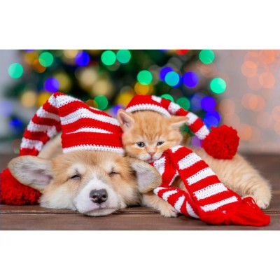 Картина по номерам 22х30 см 