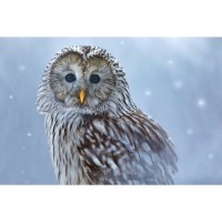 Алмазная мозайка 30*40см на подрамнике, с полн. заполн. 