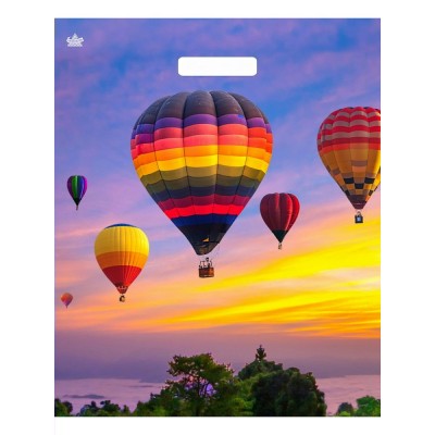 Пакет с прорубной ручкой 38*45см 