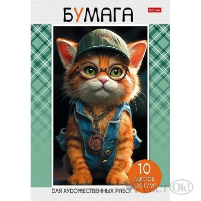 Папка для рисования и художественных работ А4 10л 120г/кв.м тиснение  -МЯУ-СТОРИ- 10Бр4тВ_30804 Hatber 