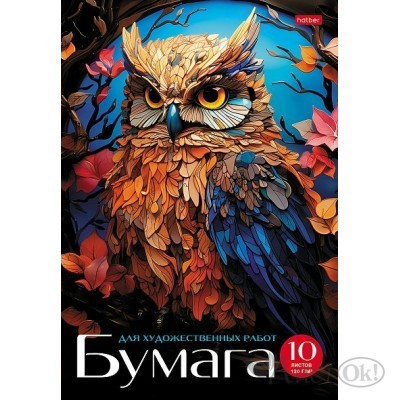 Папка для рисования и художественных работ А4 10л 120г/кв. тиснение -Мудрая сова- 10Бр4тВ_31102 Hatber 