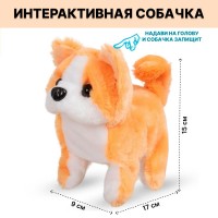 Игрушка мягкая Собака 18см на бат. D7325 в коробке 2346306 Tongde 