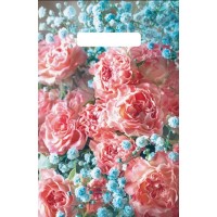 Пакет с прорубной ручкой 20*30см 