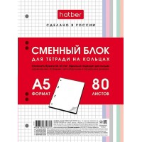 Сменный блок А5 80л клетка для тетрадей на кольцах Универсальная перфорация  Многоцветный срез в инд.упак. 80СБ5В1_28950 Hatber 