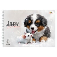 Альбом для рис. 40л. А4. на гребне, мелов.цв.картон.обл.