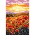 Картина по номерам 20х30 см 