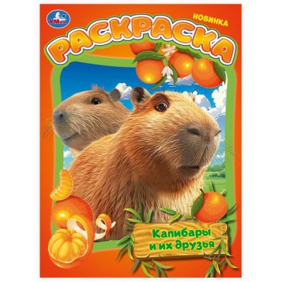 Раскраска А4 