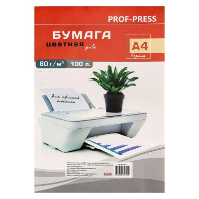 Бумага для копир.тех. А4 100л, 80г, 