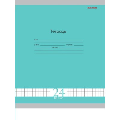 Тетрадь 24 л. клетка А5 