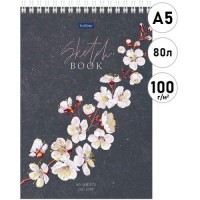 Скетчбук А5 80л на гребне 