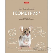 Тетрадь предм. А5 48л, кл., скр. -Мой любимый предмет- ГЕОМЕТРИЯ С интерактивн.справочн.инф. 48Т5лВd1_33136 Hatber 
