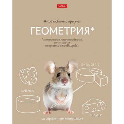 Тетрадь предм. А5 48л, кл., скр. -Мой любимый предмет- ГЕОМЕТРИЯ С интерактивн.справочн.инф. 48Т5лВd1_33136 Hatber 