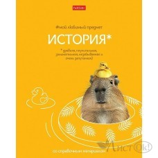 Тетрадь предм. А5 48л, кл., скр. -Мой любимый предмет- ИСТОРИЯ С интерактивн.справочн.инф. 48Т5лВd1_33141 Hatber 