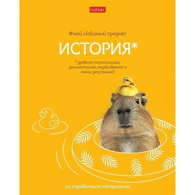 Тетрадь предм. А5 48л, кл., скр. -Мой любимый предмет- ИСТОРИЯ С интерактивн.справочн.инф. 48Т5лВd1_33141 Hatber 
