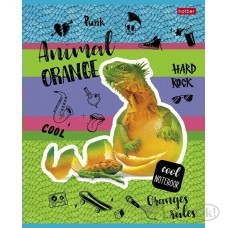 Тетрадь 80 л. клетка А5 на скобе выб лак серия -Animals orange- 80Т5вмВ1 Hatber 