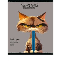 Тетрадь предм. А5 48л, кл., скр. ГЕОМЕТРИЯ «ПРО ХВОСТ» стандарт,тиснение холст 48-2463 Проф-Пресс 