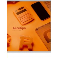 Тетрадь предм. А5 48л, кл., скр. АЛГЕБРА «НА УРОКЕ» софт-тач 48-2364 Проф-Пресс 