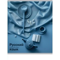 Тетрадь предм. А5 48л, ЛИНИЯ скр. РУССКИЙ ЯЗЫК «НА УРОКЕ» софт-тач 48-2379 Проф-Пресс 