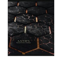 Тетрадь предм. А5 48л, кл., скр. АЛГЕБРА «BLACK&GOLD» хол.фол,софт-тач,выб.лак 48-2679 Проф-Пресс 