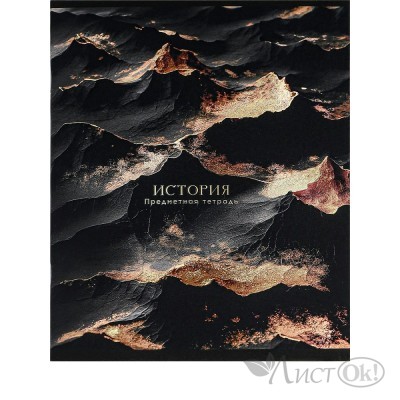 Тетрадь предм. А5 48л, кл., скр. ИСТОРИЯ «BLACK&GOLD» хол.фол,софт-тач,выб.лак 48-2709 Проф-Пресс 