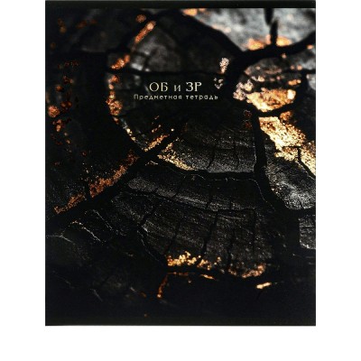 Тетрадь предм. А5 48л, кл., скр. ОБиЗР «BLACK&GOLD» хол.фол,софт-тач,выб.лак 48-2712 Проф-Пресс 