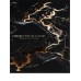 Тетрадь предм. А5 48л, кл., скр. ОБЩЕСТВОЗНАНИЕ «BLACK&GOLD» хол.фол,софт-тач,выб.лак 48-2713 Проф-Пресс 