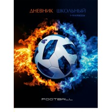 Дневник универсальный 40л. ПЛАМЯ И ...