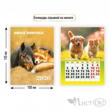 Календарь на магните отрывной 2026 Календарь на магните отрывной 2026