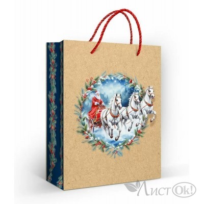 Пакет подарочный  Пакет подарочный