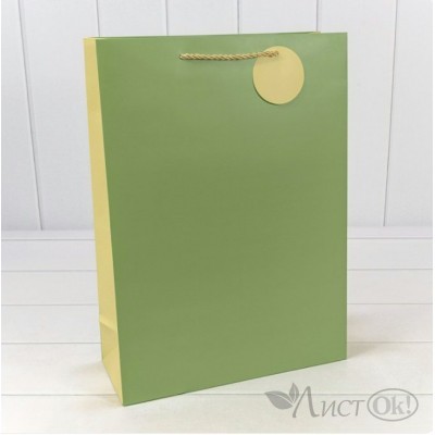 Пакет подарочный 