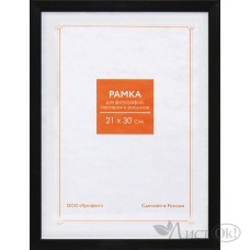 Фоторамка-пластик 21х30см RP 1489 Профит 