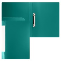 Папка на 2-х кольцах А4 25мм d-20мм 700 мкм, внутренний карман, сменная этикетка, зеленый, 190956 KLERK 