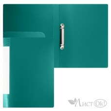 Папка на 2-х кольцах А4 25мм d-20мм 700 мкм, внутренний карман, сменная этикетка, зеленый, 190956 KLERK 