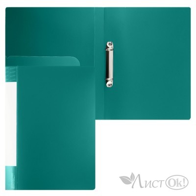 Папка на 2-х кольцах А4 25мм d-20мм 700 мкм, внутренний карман, сменная этикетка, зеленый, 190956 KLERK 