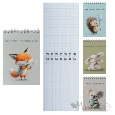 Блокнот А6 (97*141) 40л клетка дв. спираль, обл мягк карт 