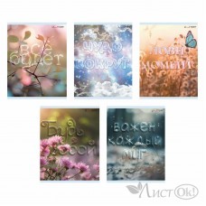 Тетрадь 40 л. клетка скр. А5 