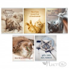 Тетрадь 40 л. линия скр. А5 